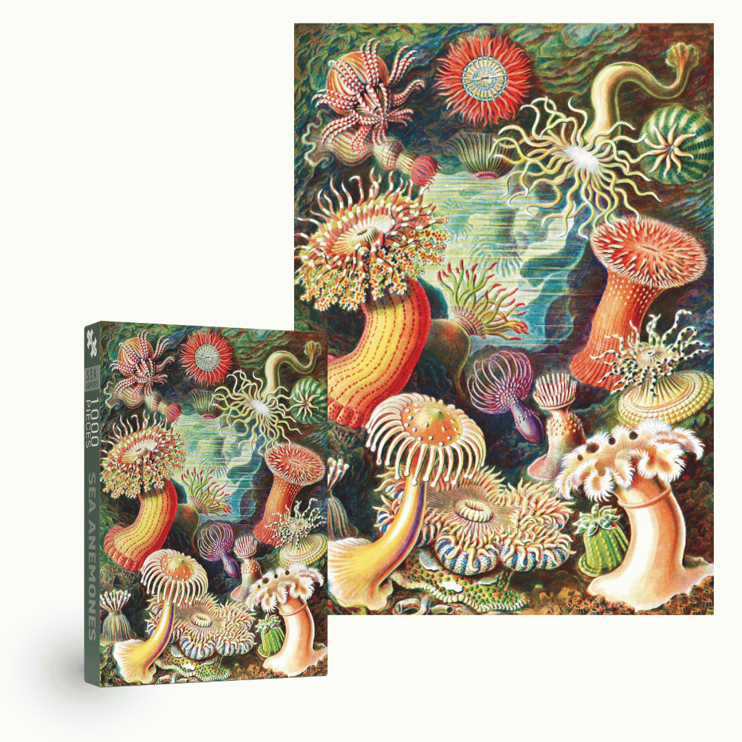 Sea Anemones Puzzle mit 1000 Teilen - Vintage Motiv