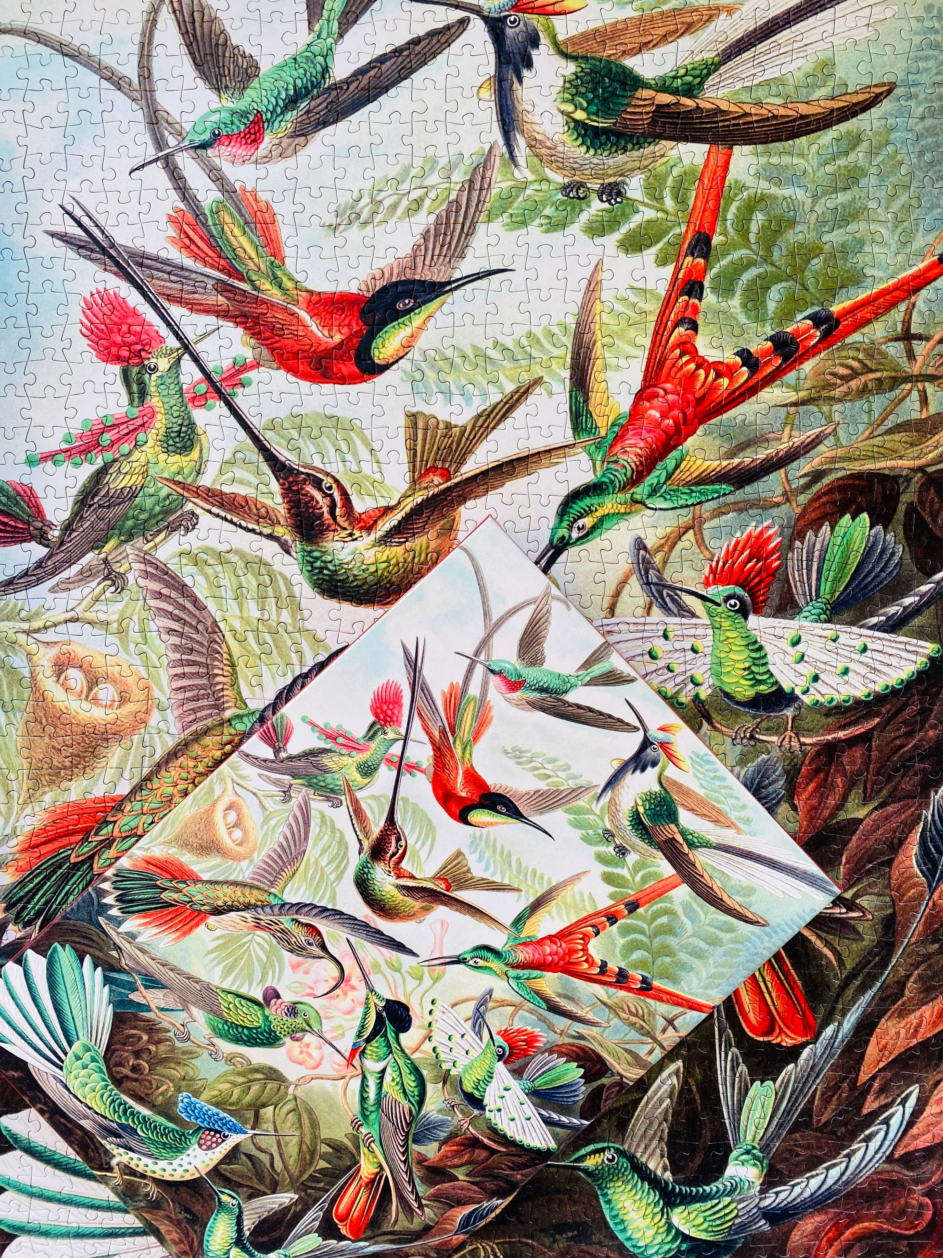 Kolibris 1000-teiliges Vintage-Puzzle
