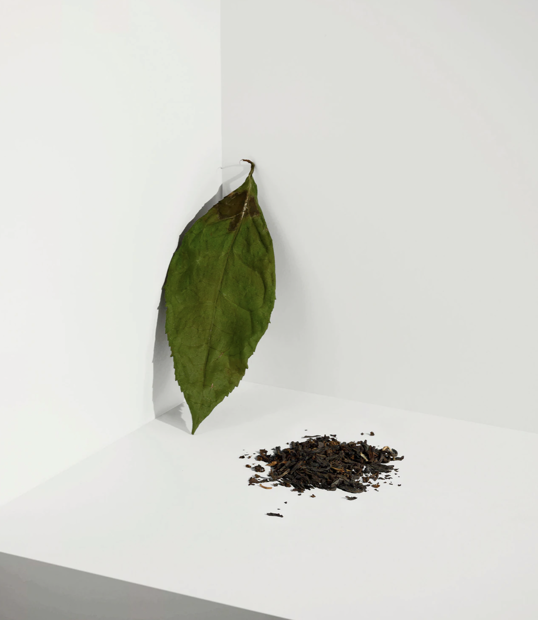 Cocoon Tea Artisans Tee English Breakfast