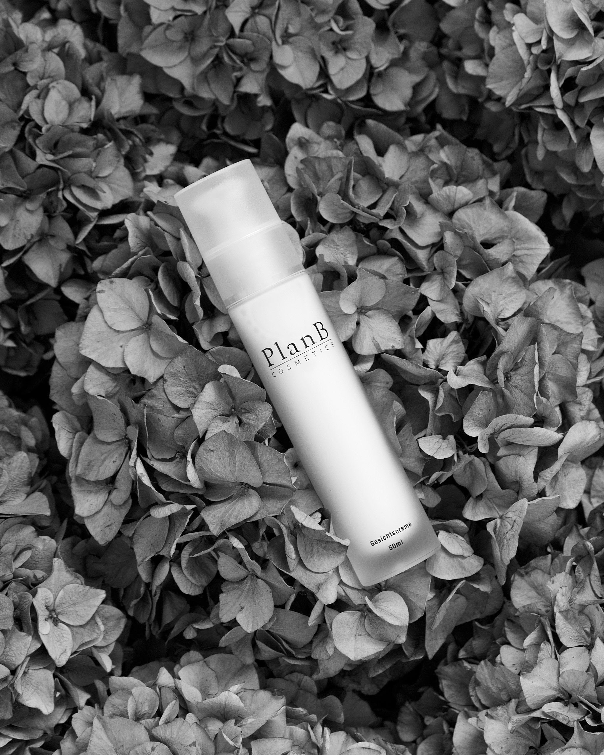 Face Cream - 50 ml