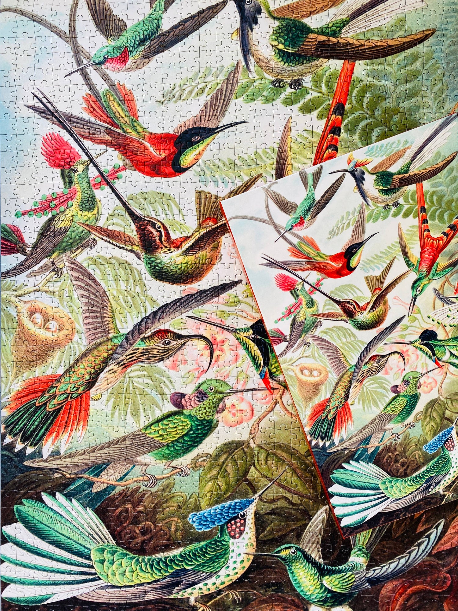Kolibris 1000-teiliges Vintage-Puzzle