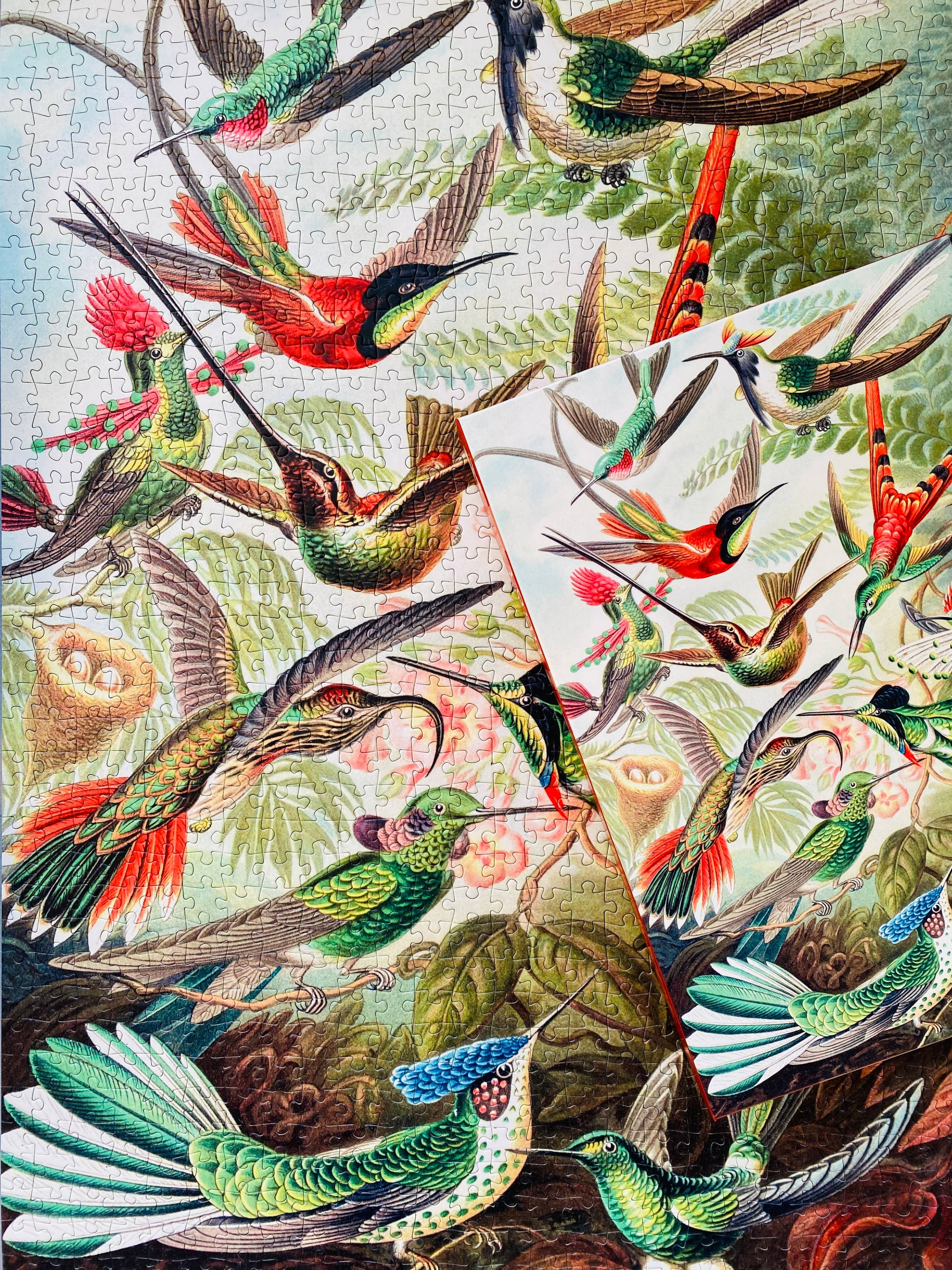 Kolibris 1000-teiliges Vintage-Puzzle