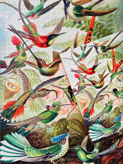 Kolibris 1000-teiliges Vintage-Puzzle