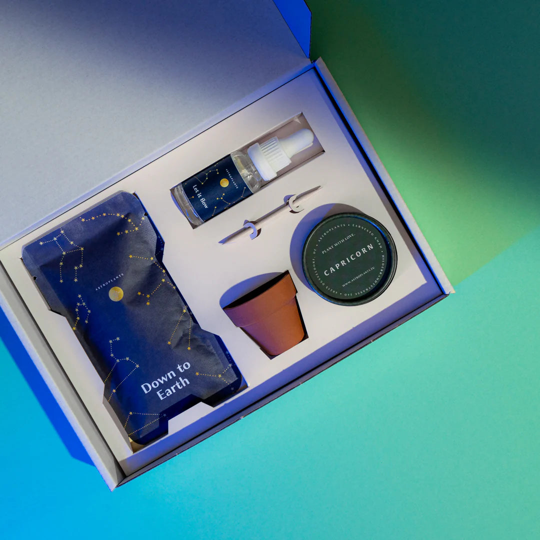 Gift Box Astrology Plant