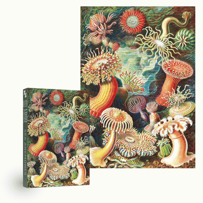 Sea Anemones Puzzle mit 1000 Teilen - Vintage Motiv