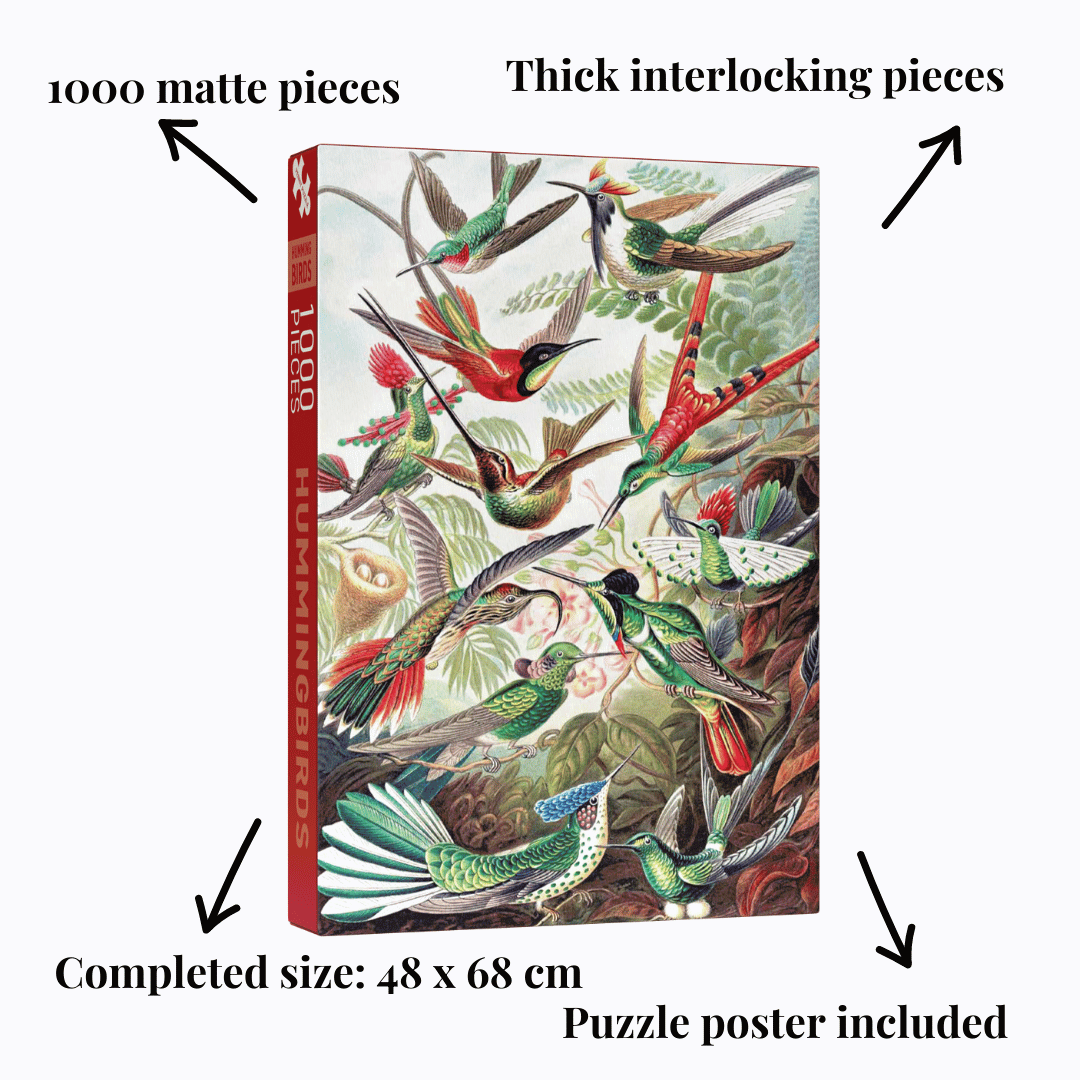 Kolibris 1000-teiliges Vintage-Puzzle