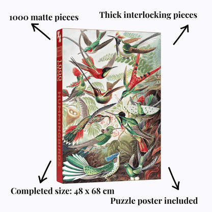 Kolibris 1000-teiliges Vintage-Puzzle