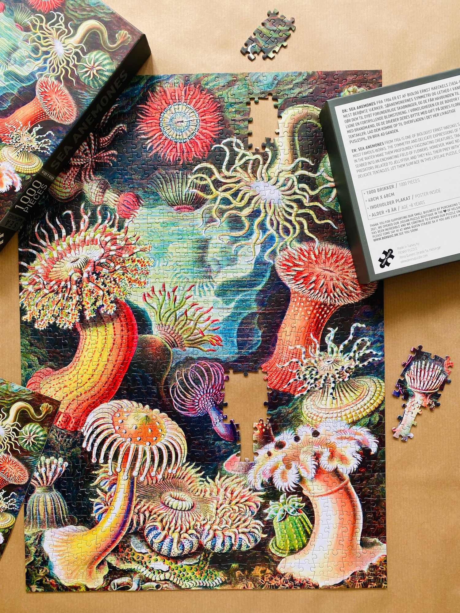 Sea Anemones Puzzle mit 1000 Teilen - Vintage Motiv