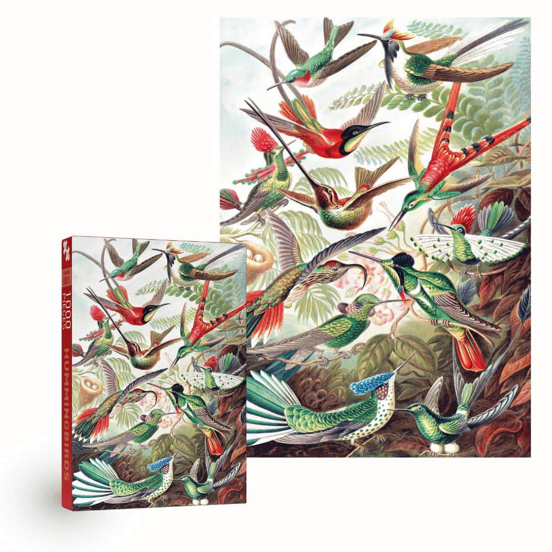 Kolibris 1000-teiliges Vintage-Puzzle