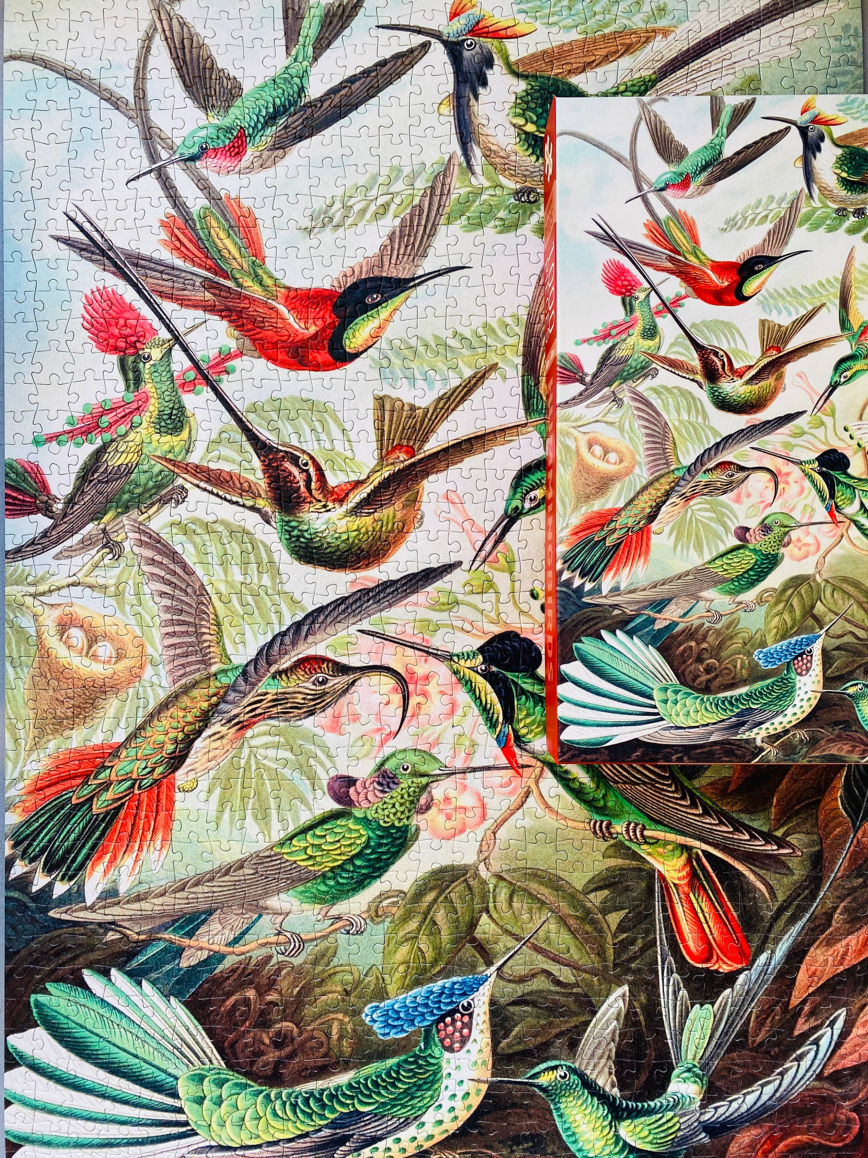 Kolibris 1000-teiliges Vintage-Puzzle