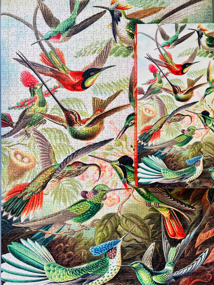 Kolibris 1000-teiliges Vintage-Puzzle