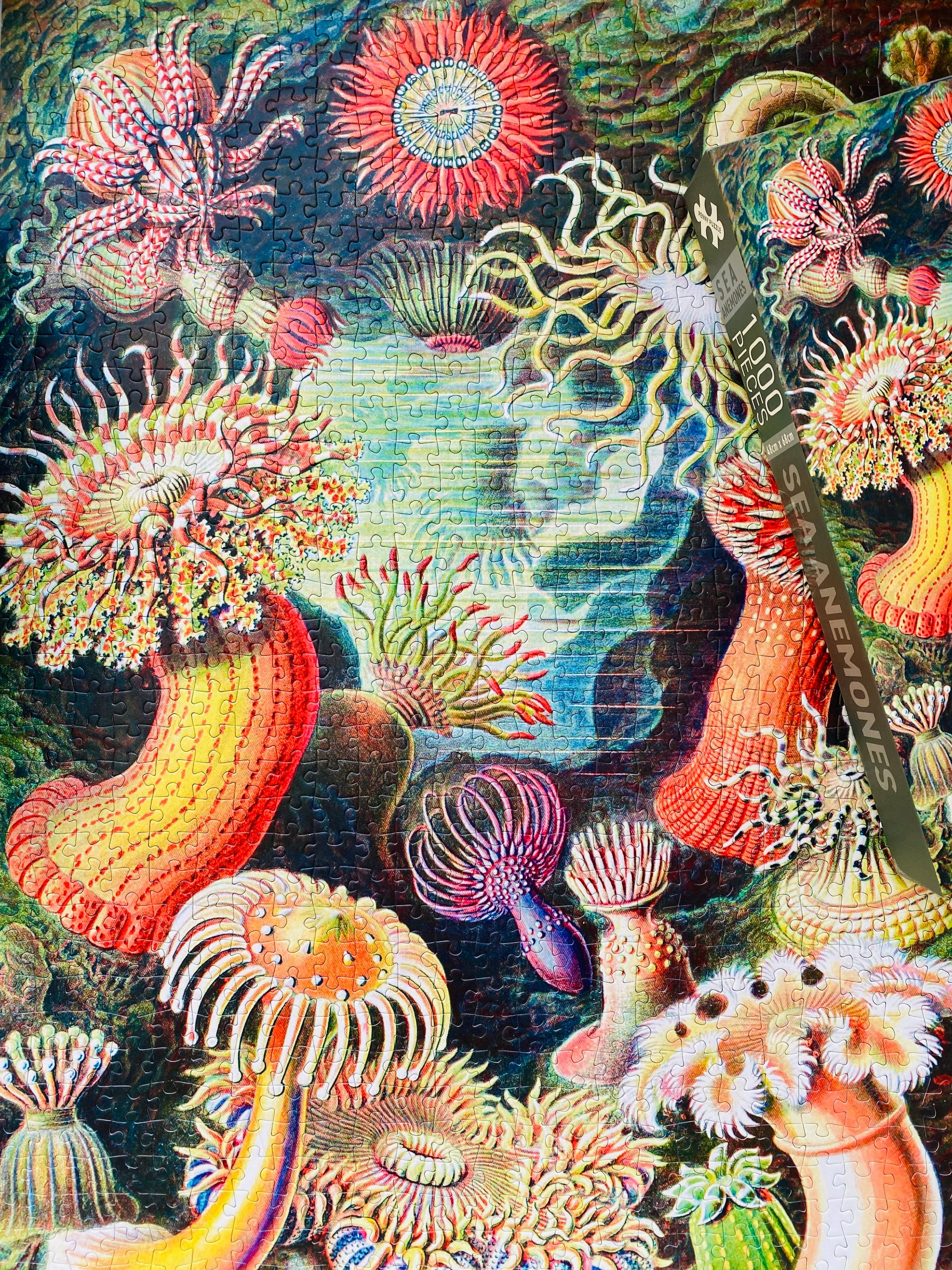 Sea Anemones Puzzle mit 1000 Teilen - Vintage Motiv