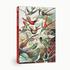 Kolibris 1000-teiliges Vintage-Puzzle