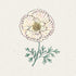 Jora Dahl Goldmohn Thai Silk Pink Champagne