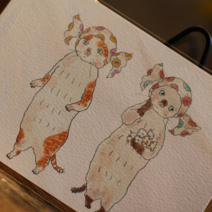 Postkarte Bonbon-Katze
