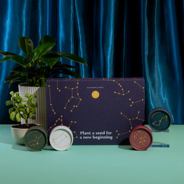 Coffret cadeau plante astrologie