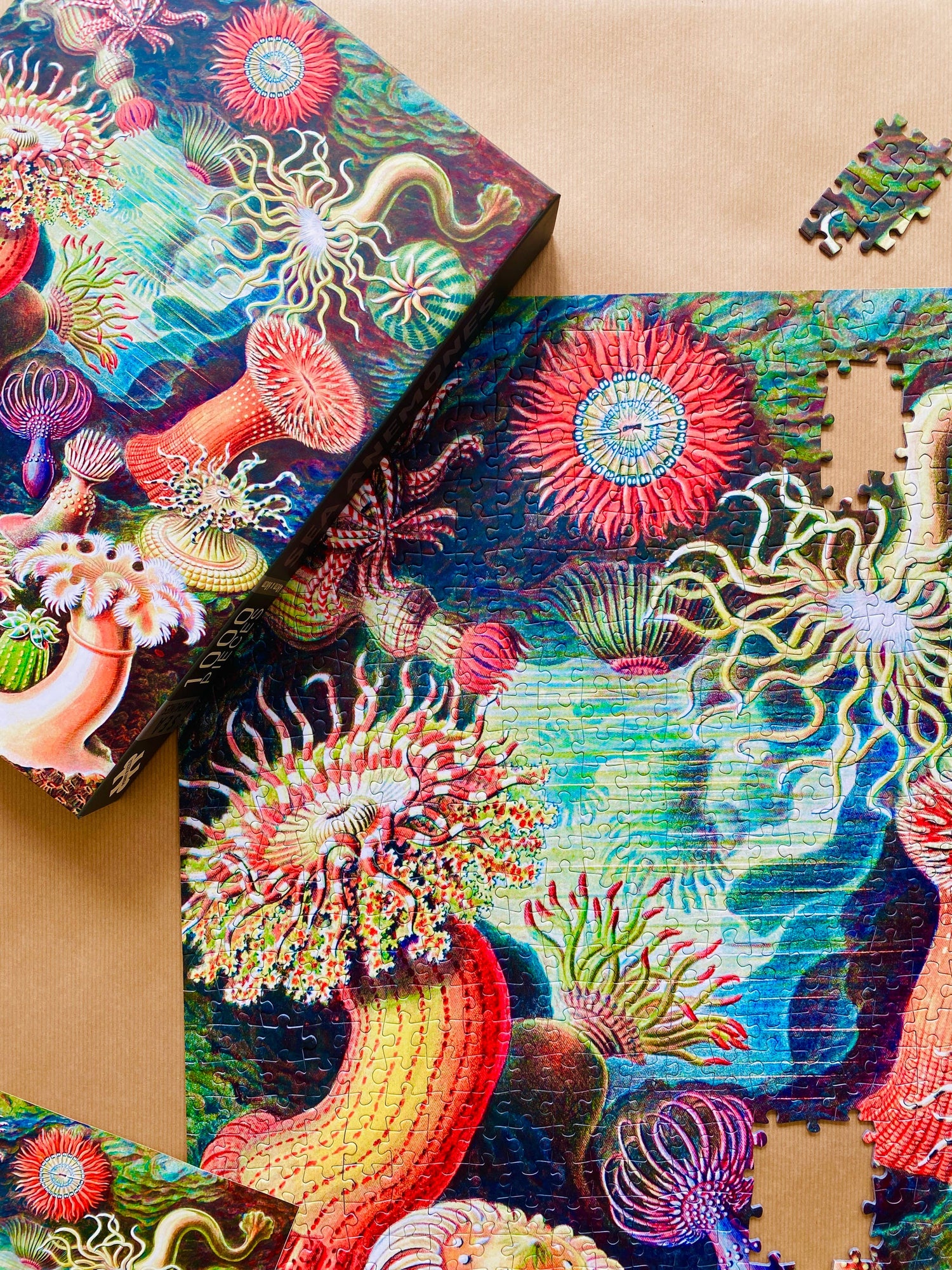 Sea Anemones Puzzle mit 1000 Teilen - Vintage Motiv