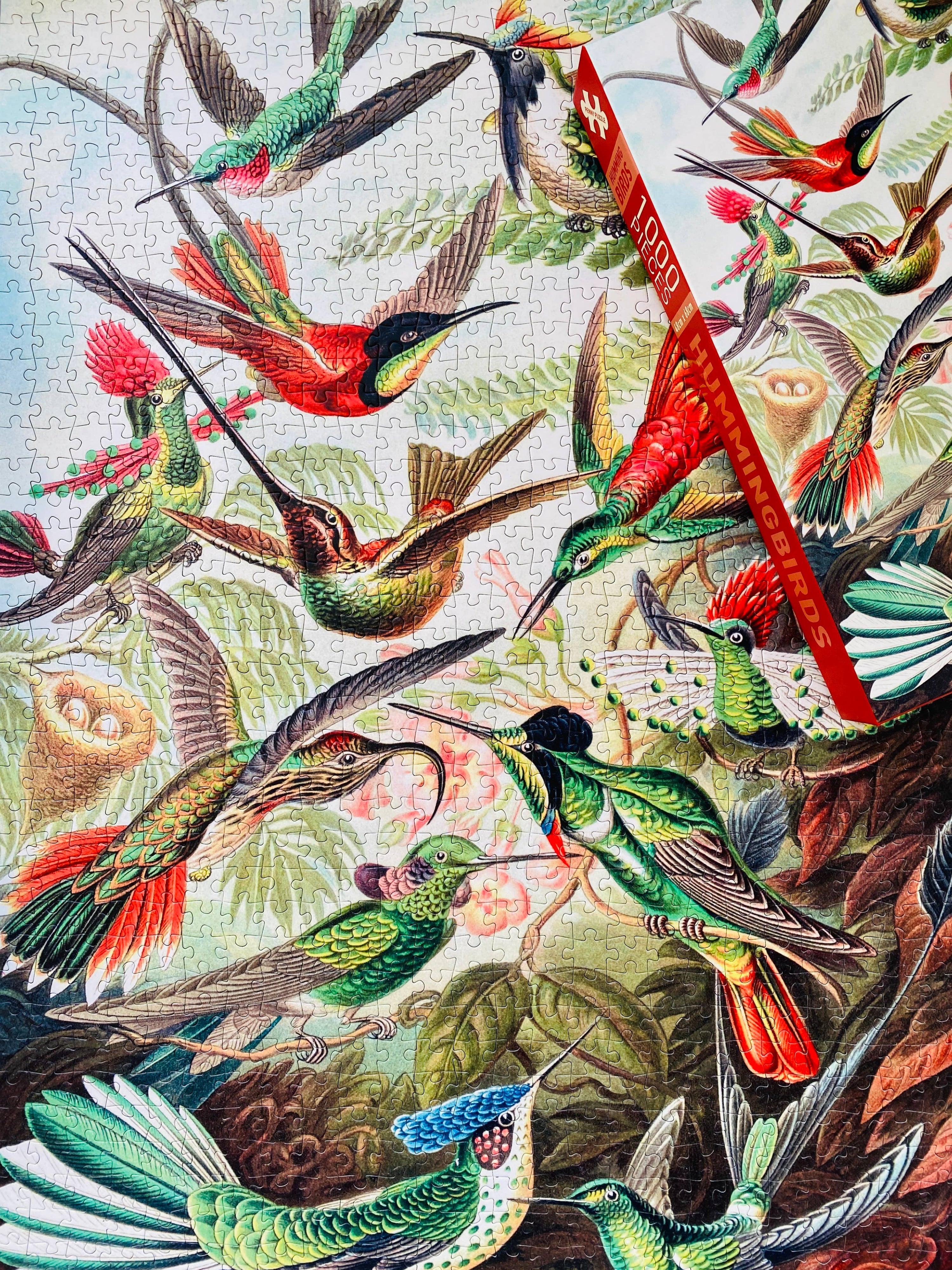 Kolibris 1000-teiliges Vintage-Puzzle