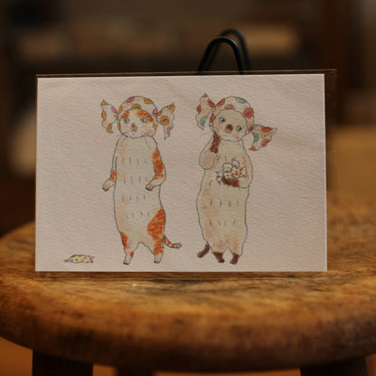 Postkarte Bonbon-Katze