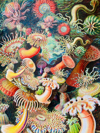 Sea Anemones Puzzle mit 1000 Teilen - Vintage Motiv