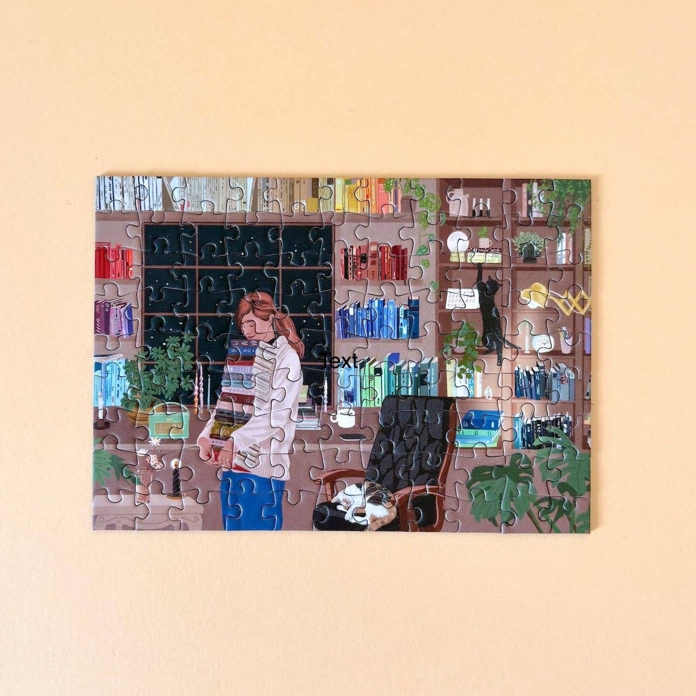 Piecely Puzzles Mini Puzzle Reading Room