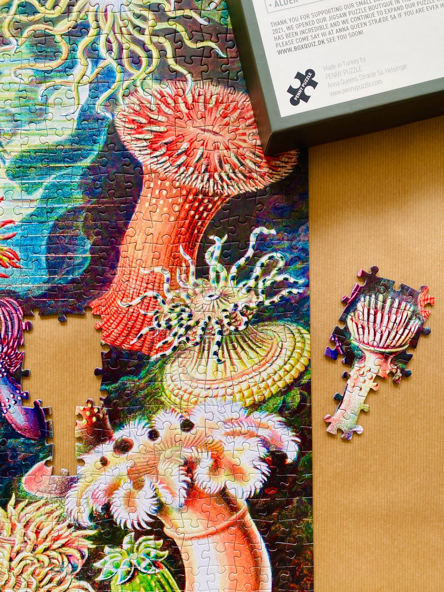 Sea Anemones Puzzle mit 1000 Teilen - Vintage Motiv