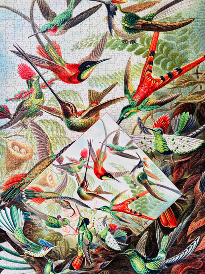 Kolibris 1000-teiliges Vintage-Puzzle