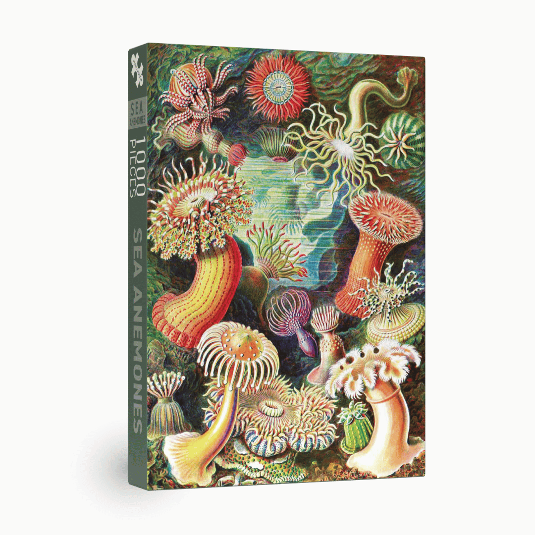 Sea Anemones Puzzle mit 1000 Teilen - Vintage Motiv