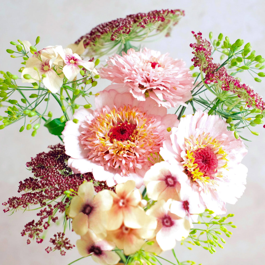 Wild Bouquets Pink Caramel Collection