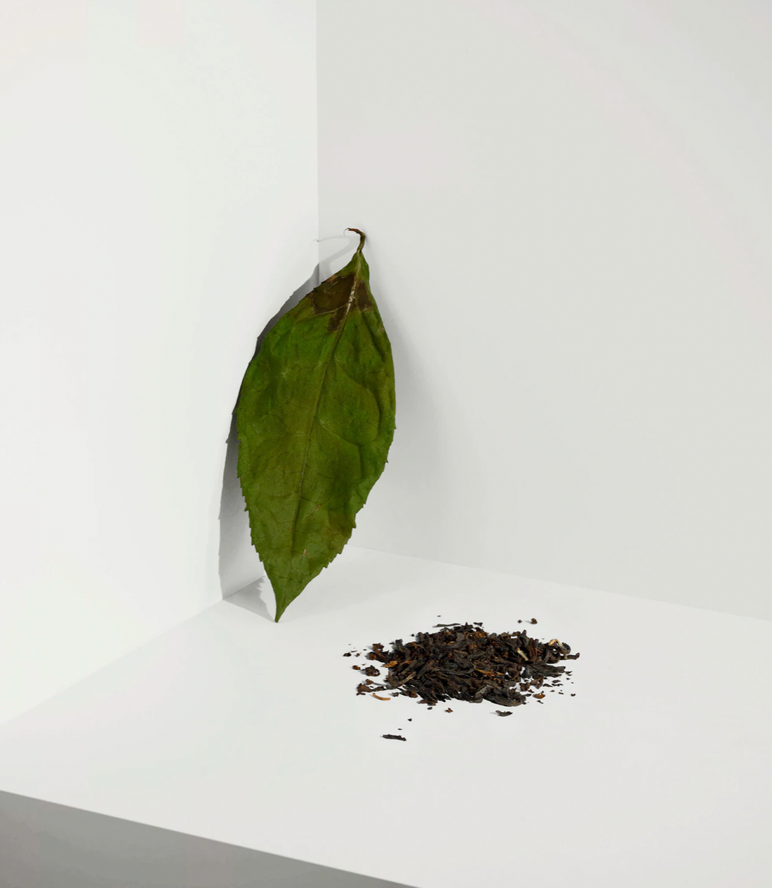 Cocoon Tea Artisans Tee English Breakfast