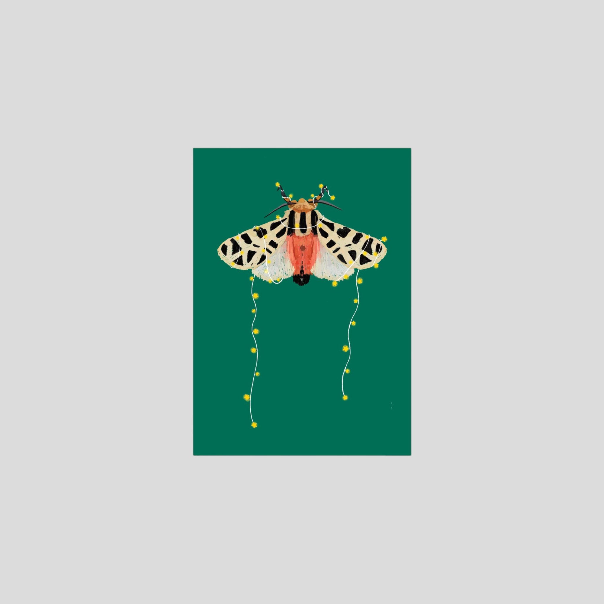 Postcard moth with fairy lights