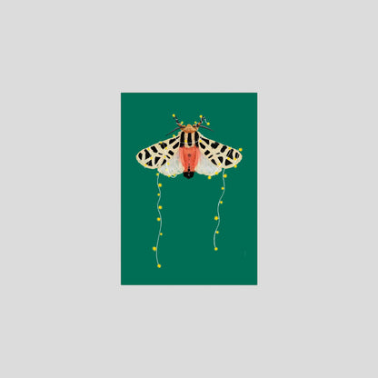 Postcard moth with fairy lights